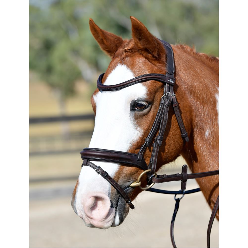 Weatherbeeta Collegiate Comfitec Opulux Plain Padded Hanoverian Flash Bridle