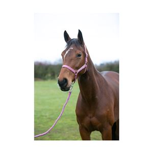 Hy Equestrian Synergy Head Collar (Grape/Silver)