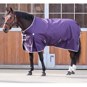 Shires Highlander Original 100 Turnout Rug (Plum)