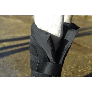 Rhinegold Stable Medicine Boots