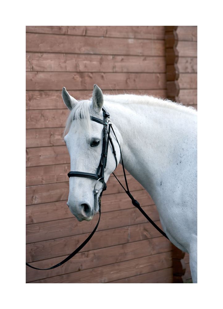 Hy Equestrian Chambon