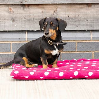 Supreme Products Dotty Fleece Dog Bed (Paradise Pink)