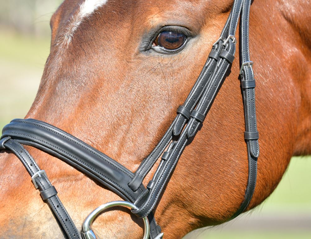 Weatherbeeta Collegiate Comfitec Opulux Plain Padded Hanoverian Flash Bridle