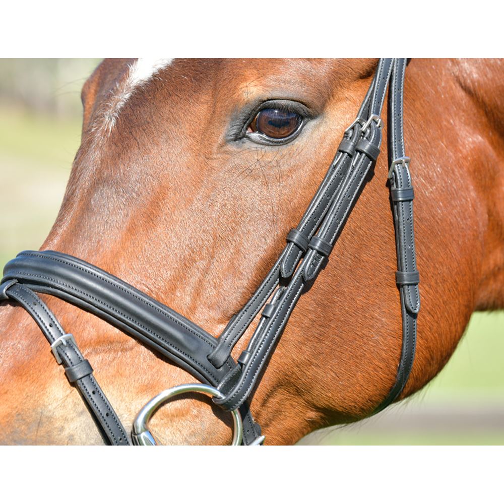 Weatherbeeta Collegiate Comfitec Opulux Plain Padded Hanoverian Flash Bridle