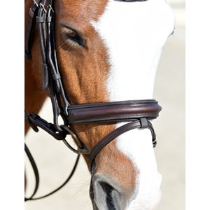 Weatherbeeta Collegiate Comfitec Opulux Plain Padded Hanoverian Flash Bridle