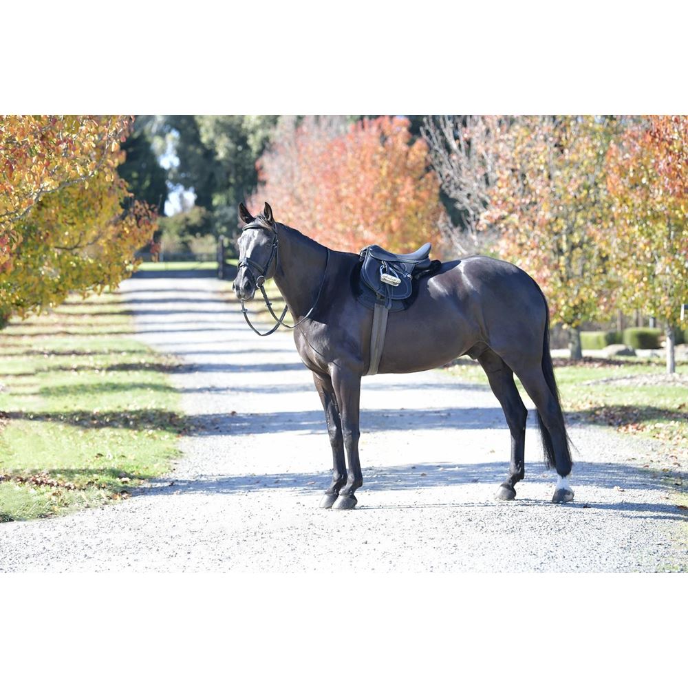 Weatherbeeta Prime Comfy Fleece All Purpose Numnah (Black)