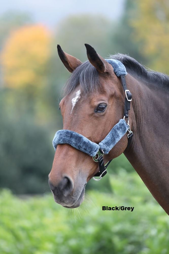 Shires Fleece Lined Headcollar