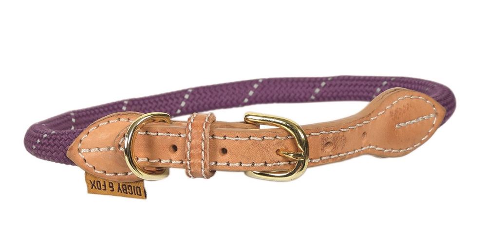 Shires Digby & Fox Reflective Dog Collar