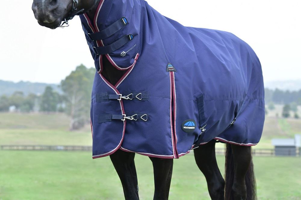 Weatherbeeta Comfitec Essential Turnout Combo - 220g (Navy/Burgundy)