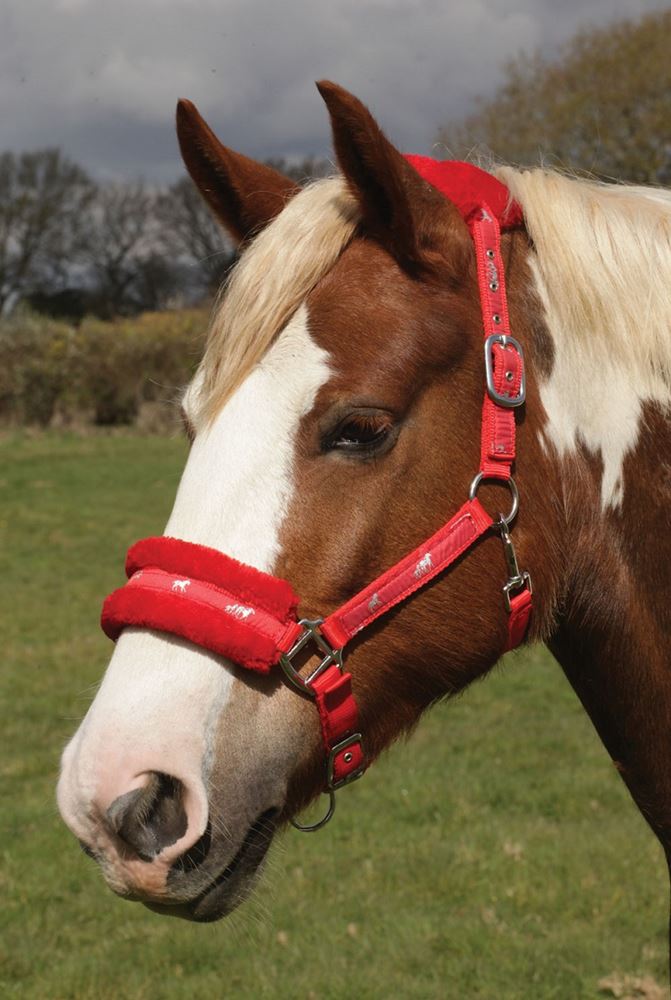 Rhinegold Padded Logo Headcollar (Red)