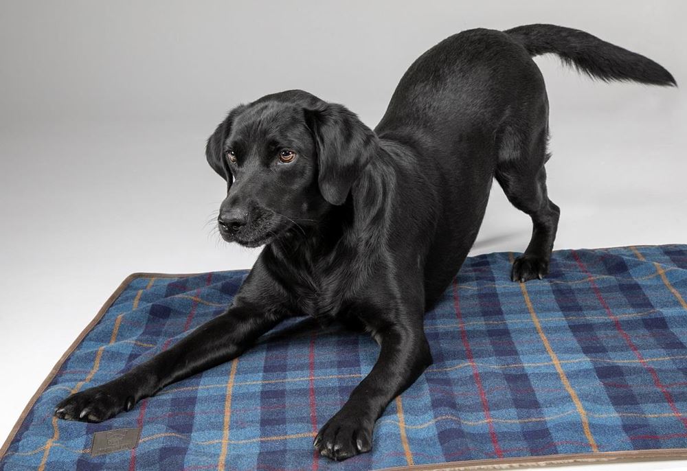 Shires Digby & Fox Tweed Dog Blanket (Navy Tweed)