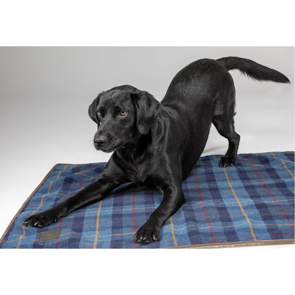 Shires Digby & Fox Tweed Dog Blanket (Navy Tweed)