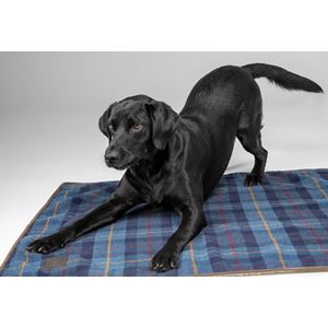Shires Digby & Fox Tweed Dog Blanket (Navy Tweed)