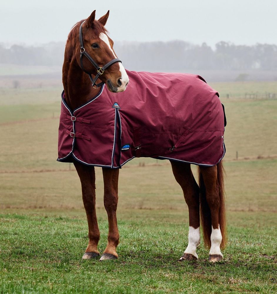 Weatherbeeta Comfitec Prelim Turnout Combo - 0g (Burgundy/Navy)
