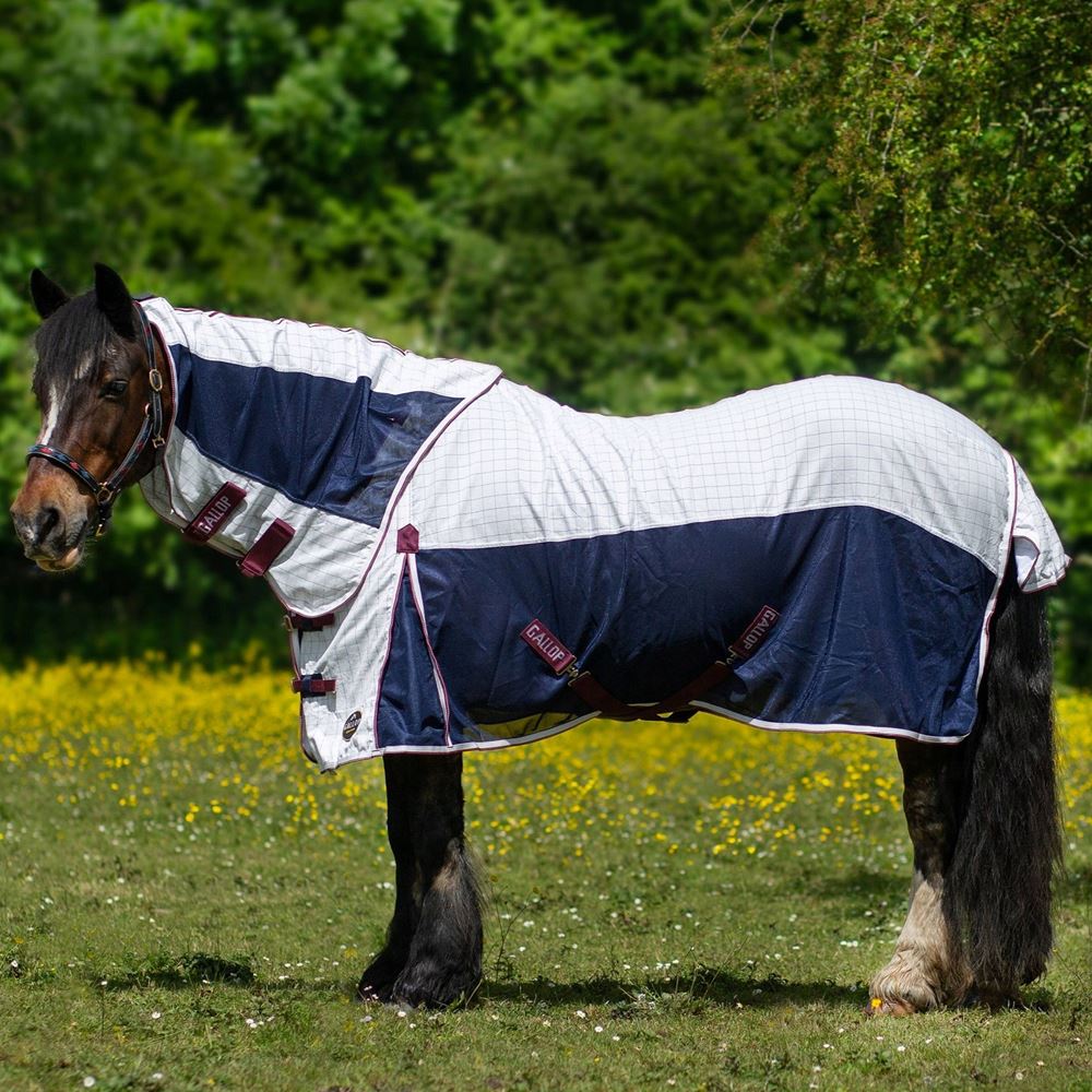 Gallop Air Mesh Dual Summer Sheet (White/Navy)