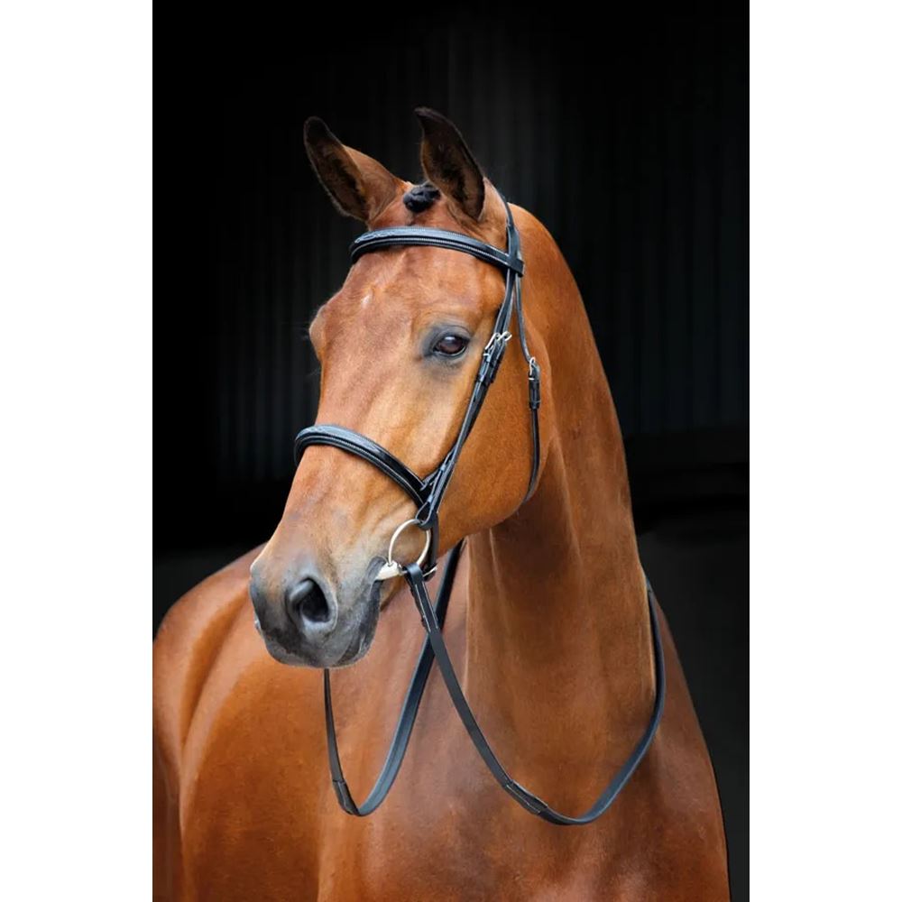 Shires Salisbury Fairford Bridle (Black)