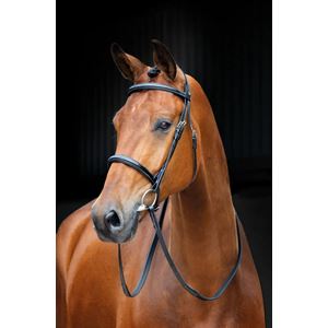 Shires Salisbury Fairford Bridle (Black)