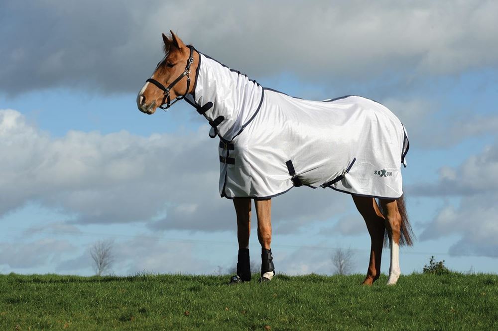 Saxon Mesh Combo Neck