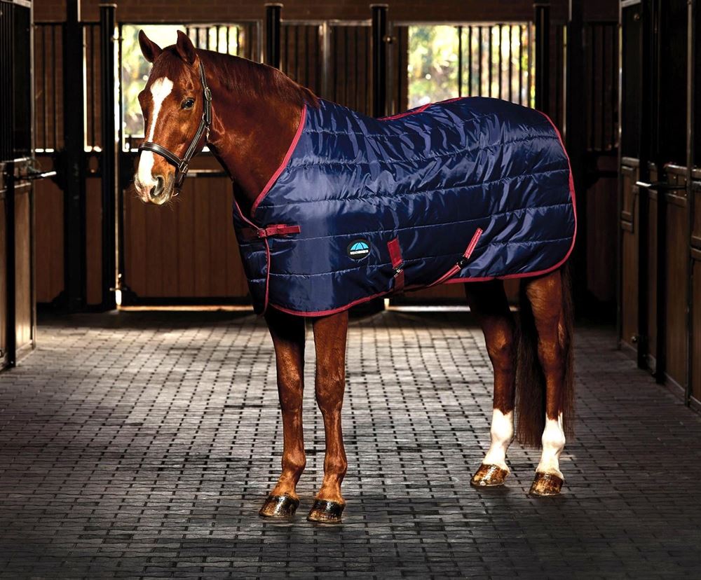 Weatherbeeta Comfitec 210D Channel Quilt Stable Standard - 100g (Navy/Burgundy)