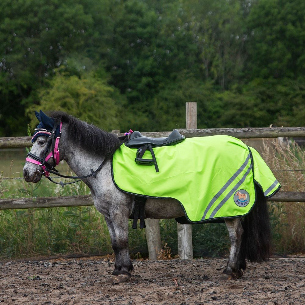 Gallop Ponie Retro Reflective Waterproof Exercise Sheet