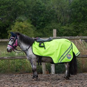 Gallop Ponie Retro Reflective Waterproof Exercise Sheet