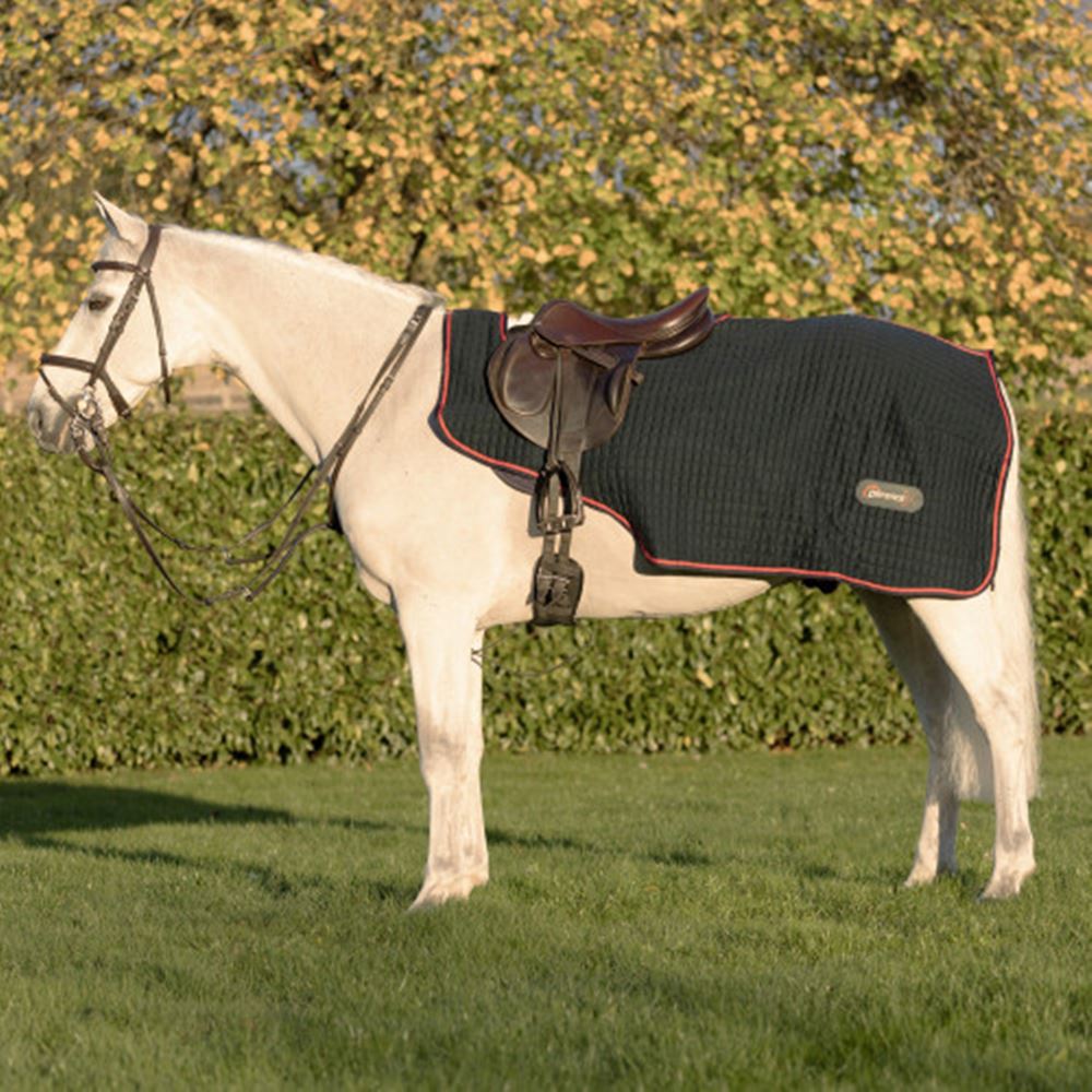 Hy Equestrian DefenceX System Cool Control Exercise Sheet