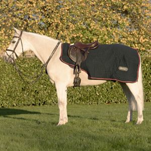 Hy Equestrian DefenceX System Cool Control Exercise Sheet