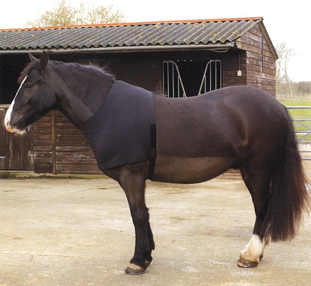 Rhinegold Satin Lycra Stretch Vest (Black)