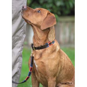 Shires Digby & Fox Drover Polo Dog Collar, M - XXL