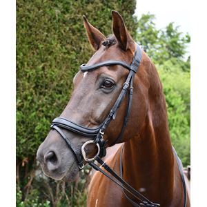 Rhinegold Softee Padded Leather Pro-Anatomical Bridle