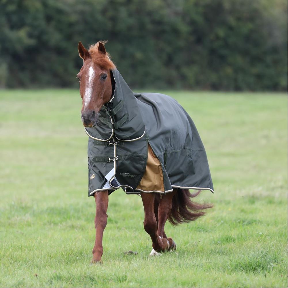 Shires Highlander Plus 50 Combo Turnout Rug (Green)