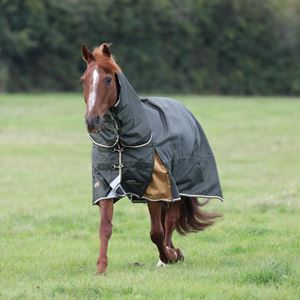 Shires Highlander Plus 50 Combo Turnout Rug (Green)
