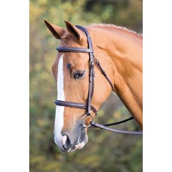 Shires Salisbury Fairford Bridle (Australian Nut)