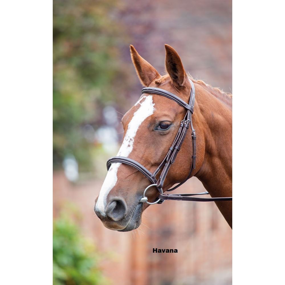 Shires Avignon Padded Raised Cavesson Bridle