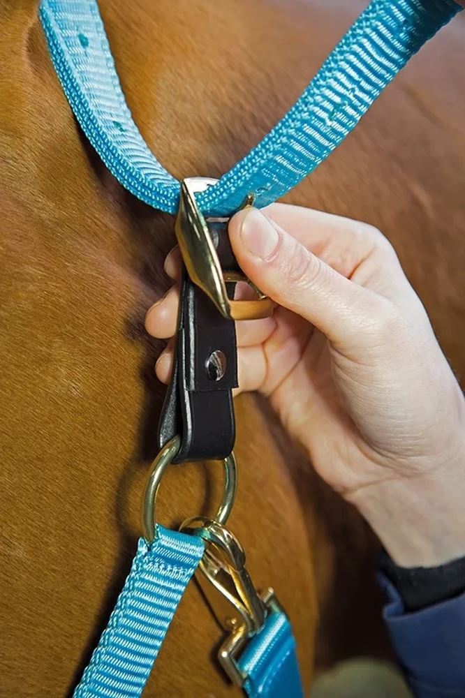 Shires Velociti GARA Headcollar Breakaway Attachment