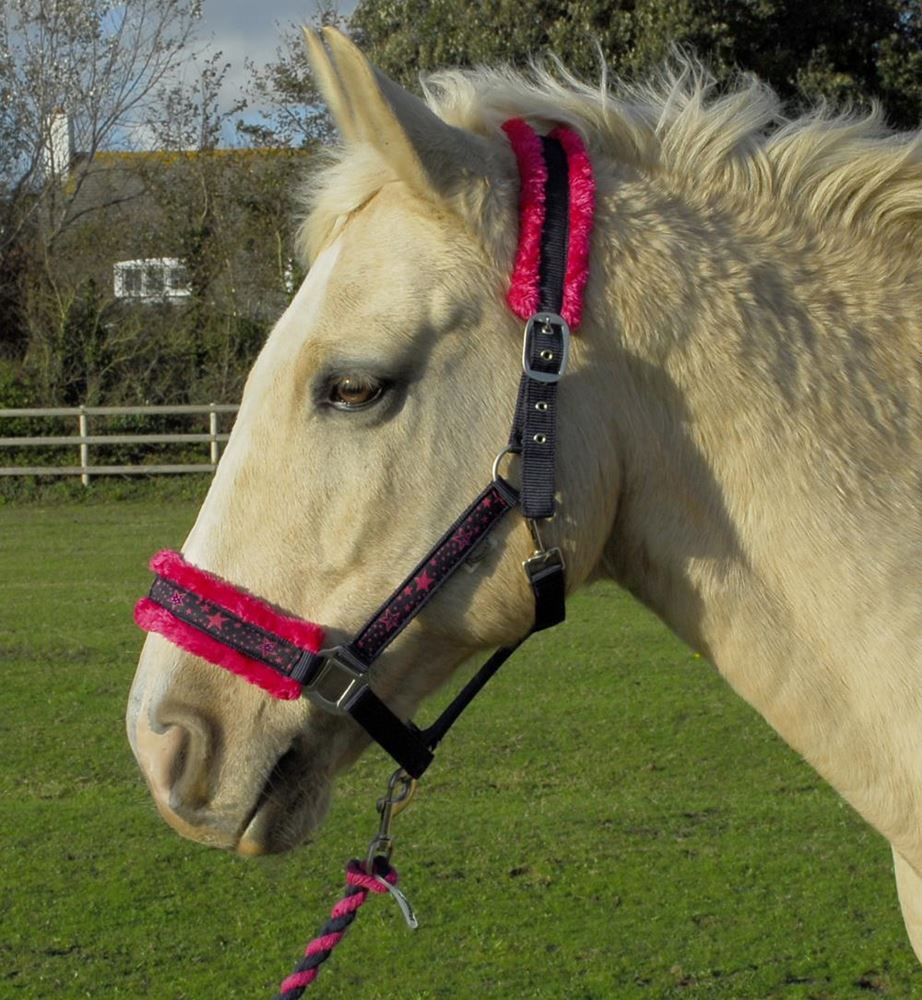 Rhinegold Crystal Star Headcollar & Lead Rope Set (Navy/Pink)