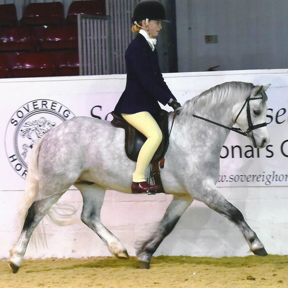 Tuffa Junior Show Boot