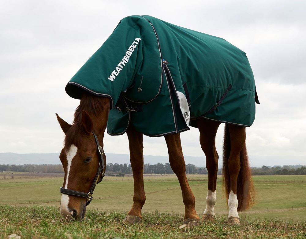 Weatherbeeta Comfitec Plus Dynamic Turnout Detach-A-Neck - 220g (Forest Green/Navy)