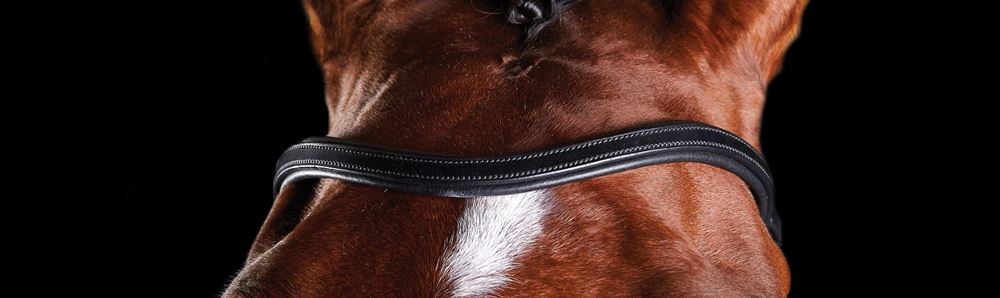 Collegiate Comfitec Training Replacement Browband