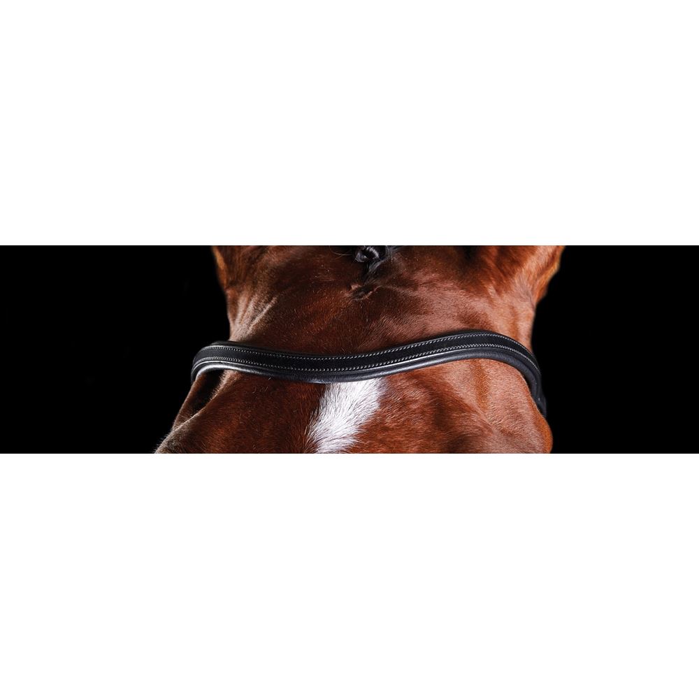 Collegiate Comfitec Training Replacement Browband