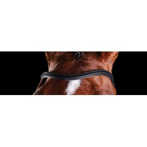 Collegiate Comfitec Training Replacement Browband