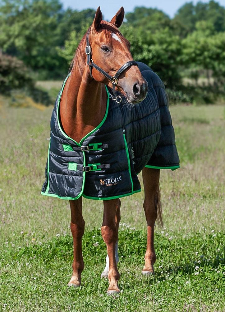 Gallop Trojan Dual 300 Stable Rug & Neck Set (Black/Green)