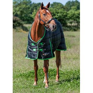 Gallop Trojan Dual 300 Stable Rug & Neck Set (Black/Green)
