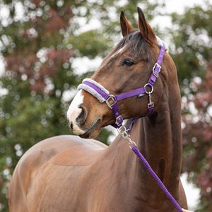 Hy Sport Active Head Collar & Lead Rope (Royal Violet)