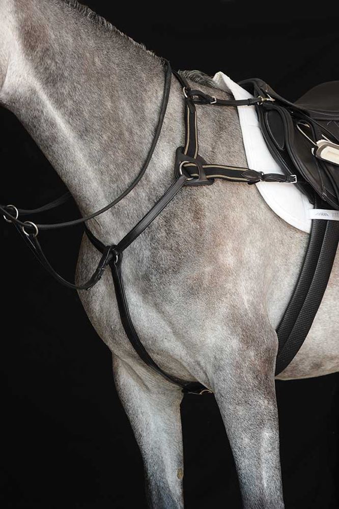 Collegiate 5 Point Breastplate IV