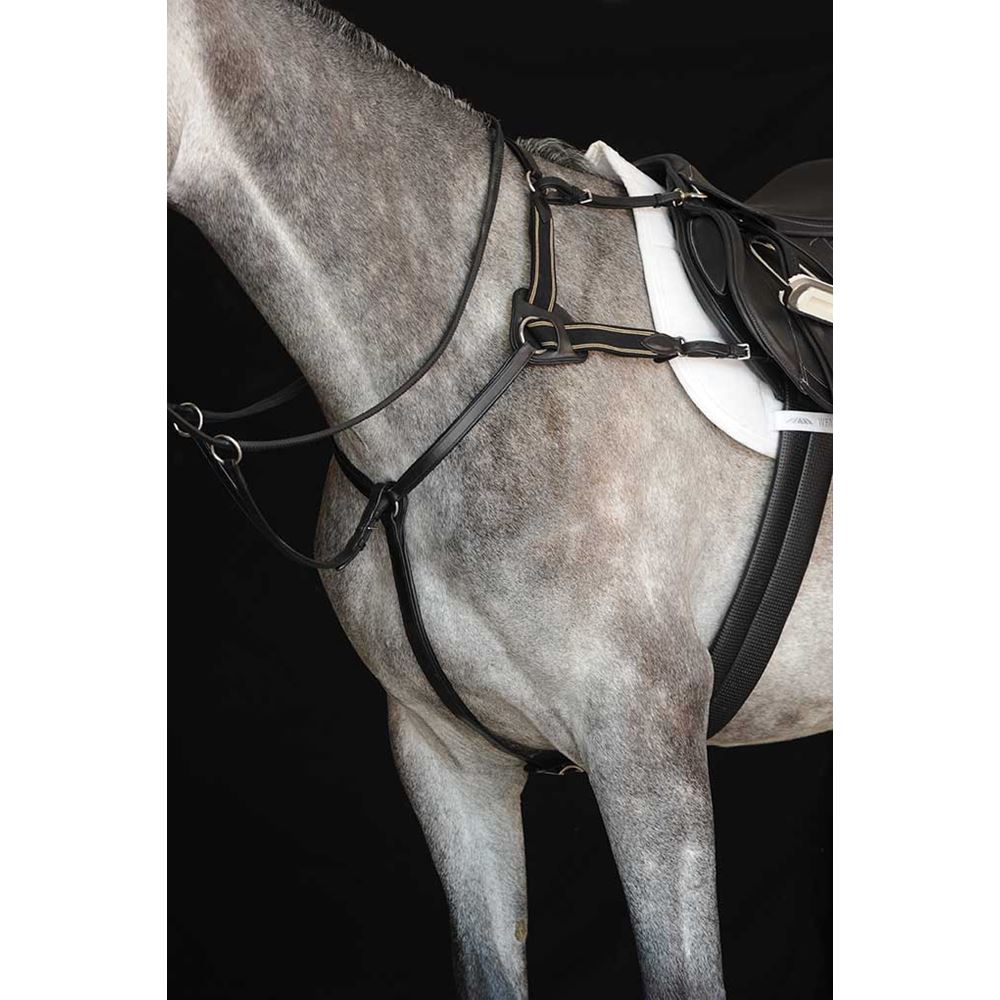 Collegiate 5 Point Breastplate IV