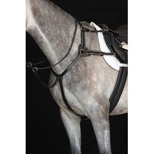 Collegiate 5 Point Breastplate IV