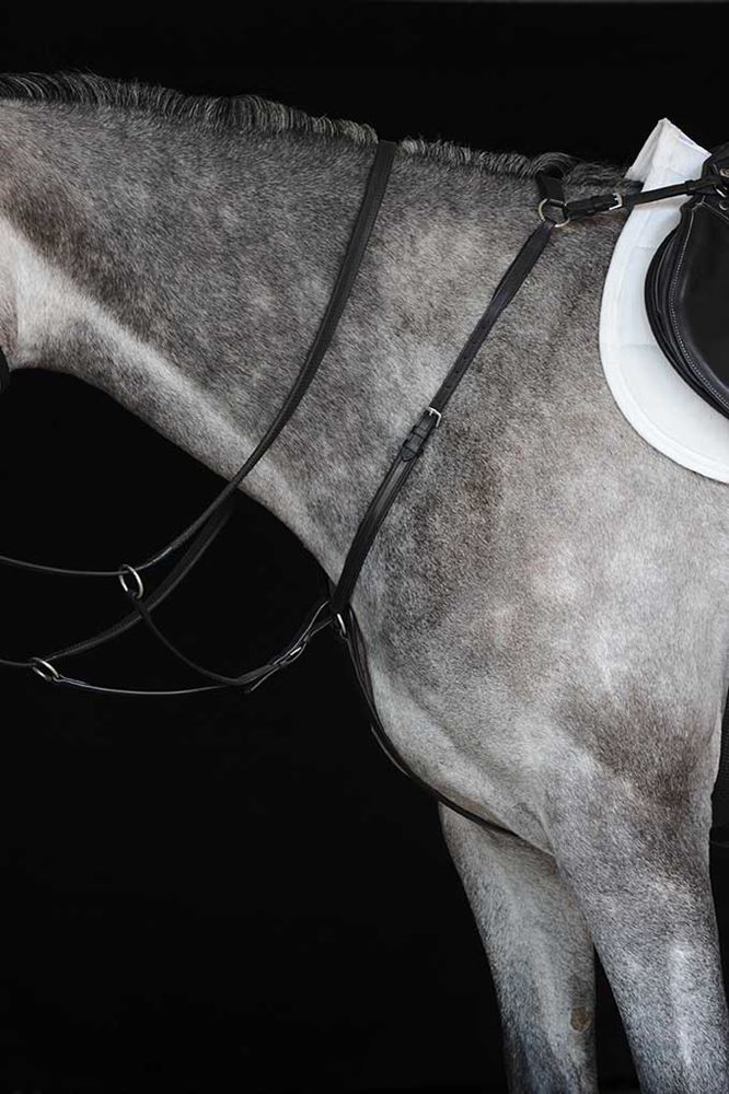 Collegiate Hunter Breastplate IV