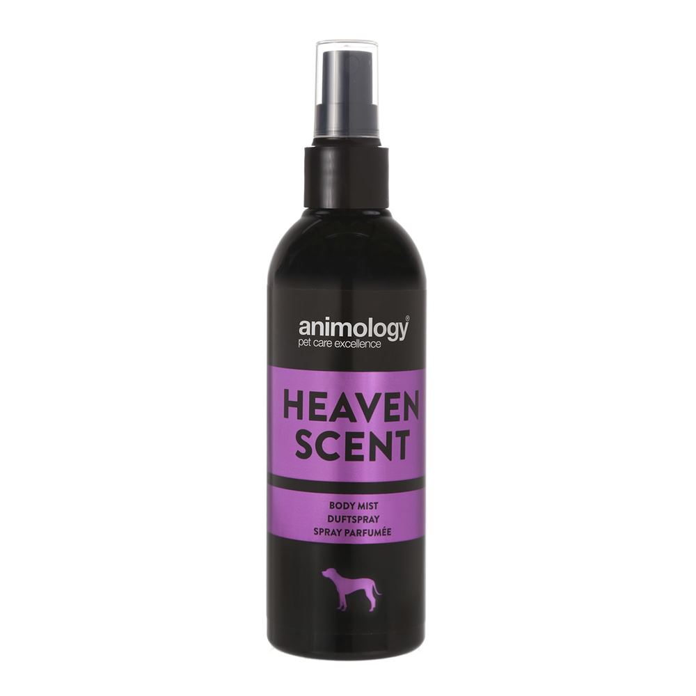 Animology Heaven Scent Fragrance Body Mist - 150 Ml
