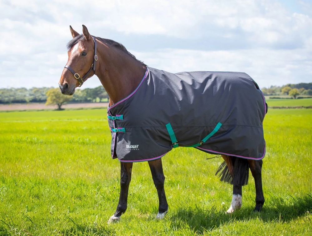 Shires Tempest Original 300g Turnout Rug (Black)